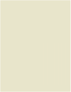 obomodulan® 1600 SAND; wymiar: 750 x 500 x 75 mm