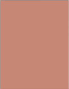 obomodulan® 500 MAGMA; wymiar 1500 x 500 x 50 mm