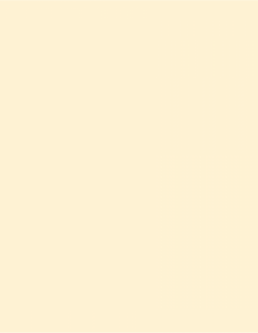 80 YELLOW 2000 x 1000 x 200 mm