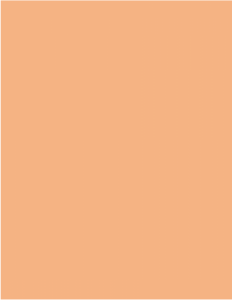 420 Peach / 1500x500x100mm
