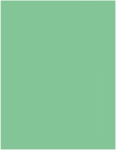 obomodulan® 1200 GREEN; wymiar: 1000 x 500 x 100 mm