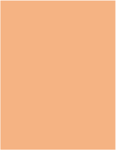 502 Orange / 1500 x 500 x 50 mm