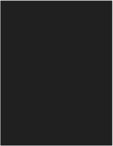 obomodulan® 1700 BLACK; wymiar: 1500 x 500 x 50 mm