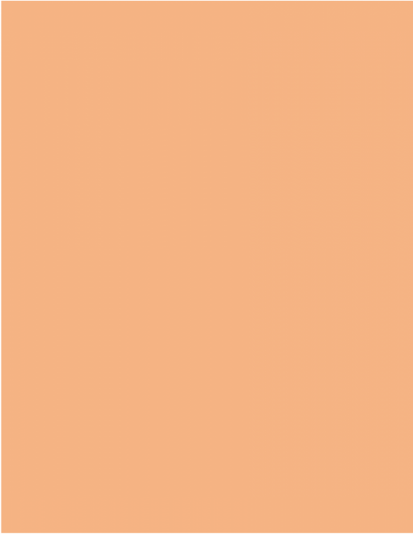 420 Peach / 1500x500x100mm 420 Peach / 1500x500x100mm