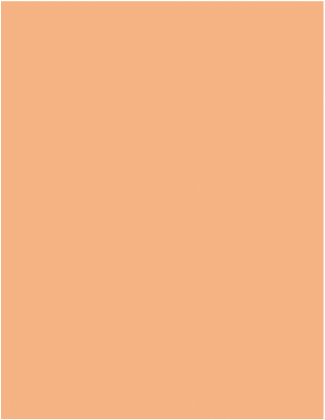 502 Orange / 1500 x 500 x 100 mm